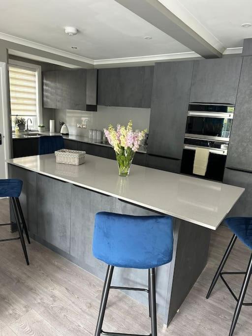 Cameron Coach House Modern Property In Murrayfield Edinburg Exteriör bild